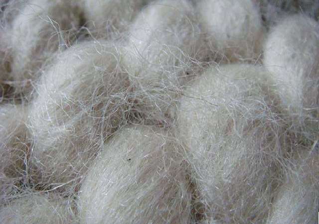 مرکز پخش الیاف لایکو